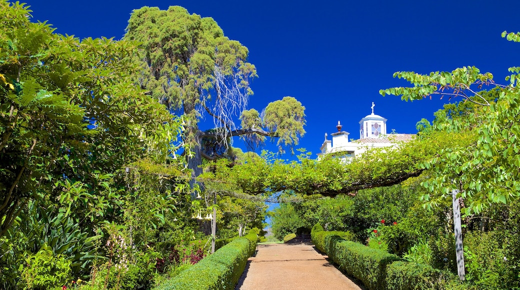 Jardins do Palheiro bevat een tuin