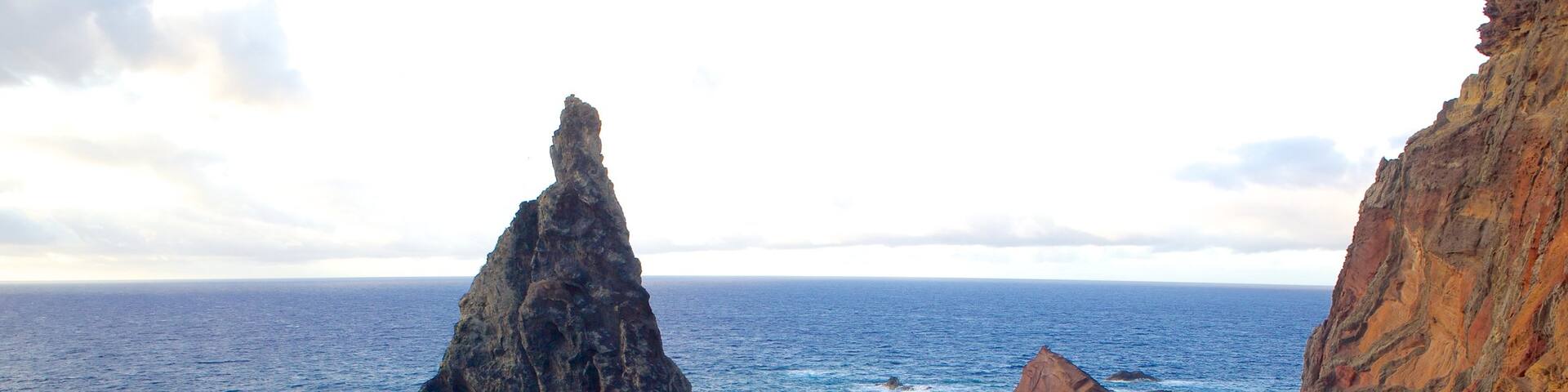 Sao Lourenco Point showing rocky coastline
