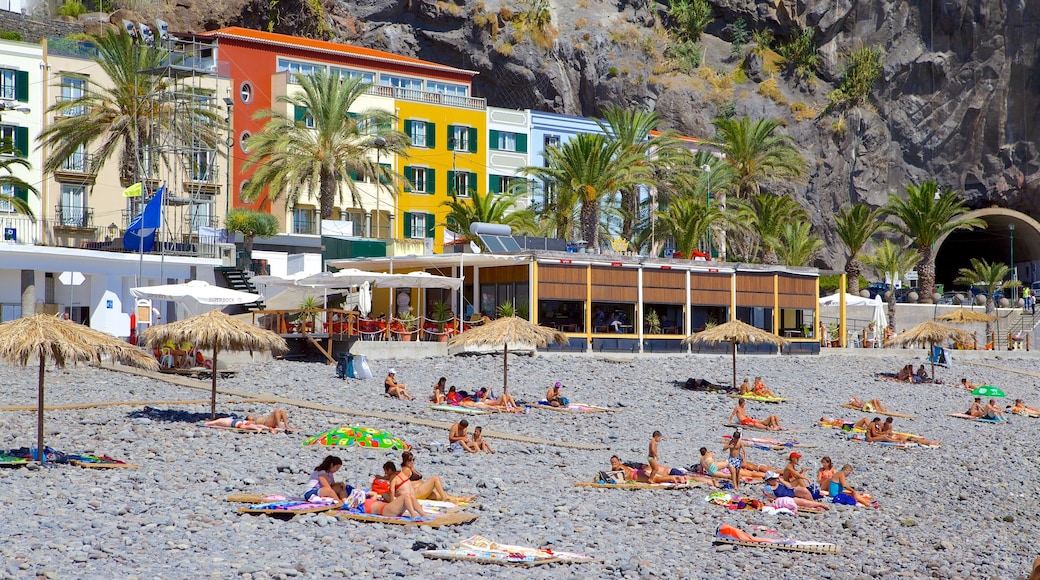 Ponta Do Sol Beach showing a coastal town, tropical scenes and a pebble beach