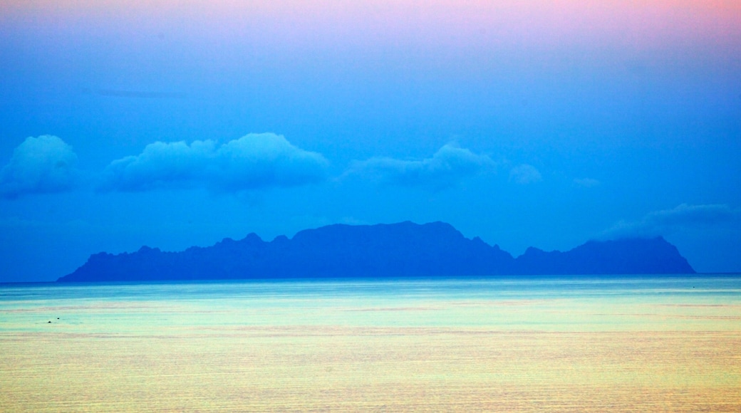 Funchal showing a sunset, general coastal views and landscape views