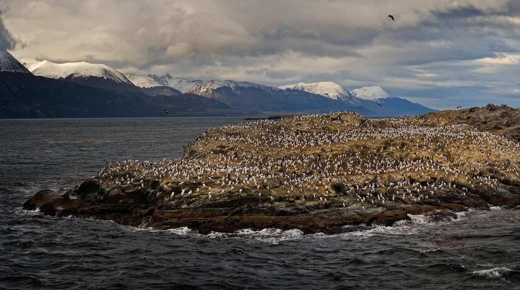 Photo fournie par PAOLO PETRIGNANI/Argentina Travel