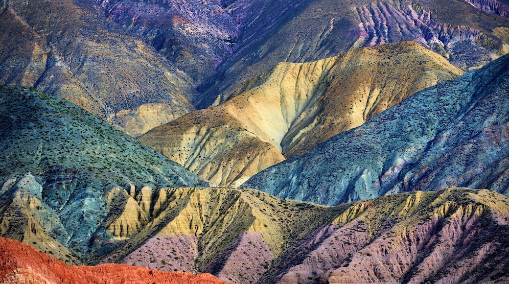 Foto fornita da Franco Cappellari /Argentina Travel