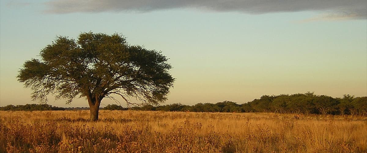 La Pampa featuring tranquil scenes