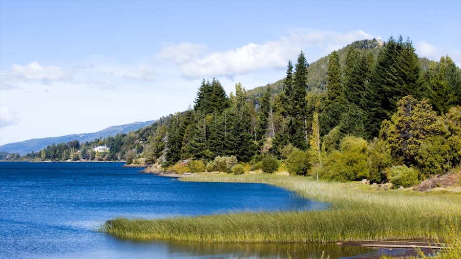 Nahuel Huapi National Park showing landscape views, forests and a lake or waterhole