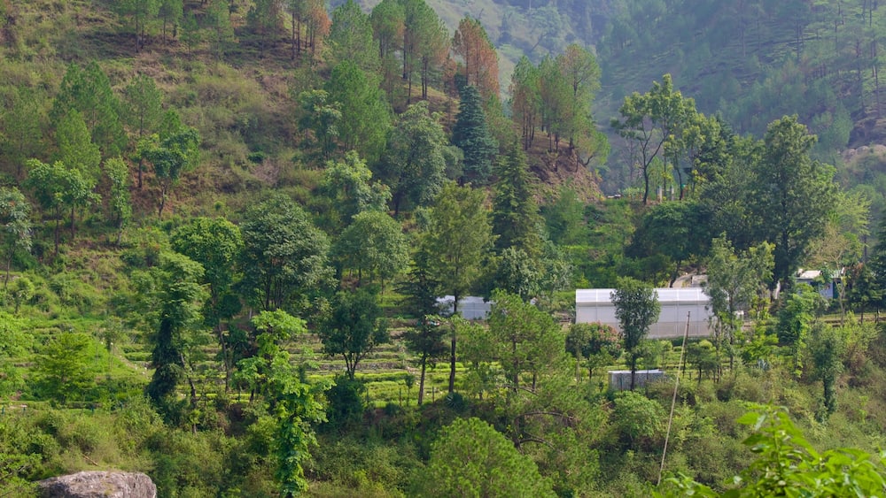 Nainital qui includes forĂȘts