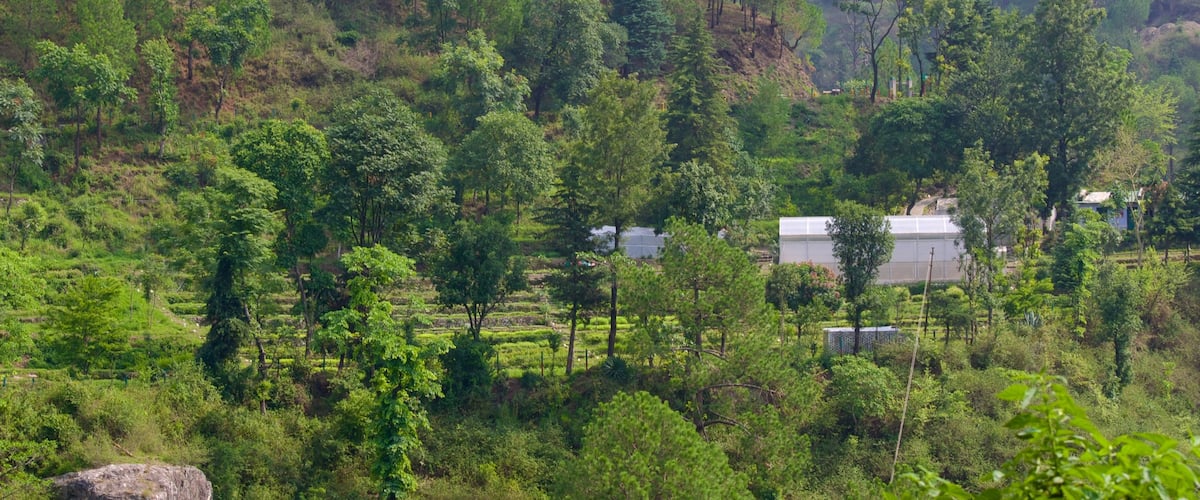 Nainital showing forest scenes