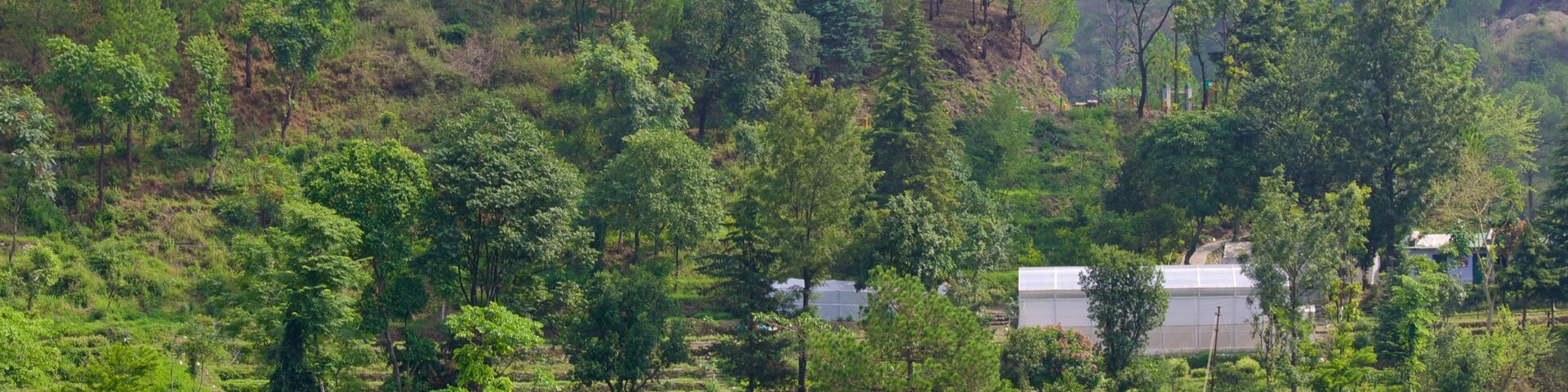 ไนนิตาล, อุตตราขัณฑ์, อินเดีย