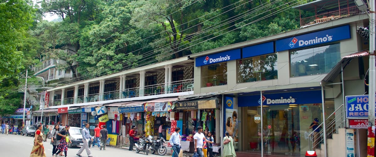 Nainital showing street scenes
