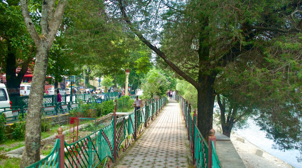 Lago Nainital ofreciendo una pequeña ciudad o pueblo y escenas urbanas