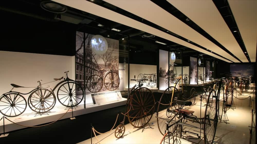 Bicycle Museum featuring interior views