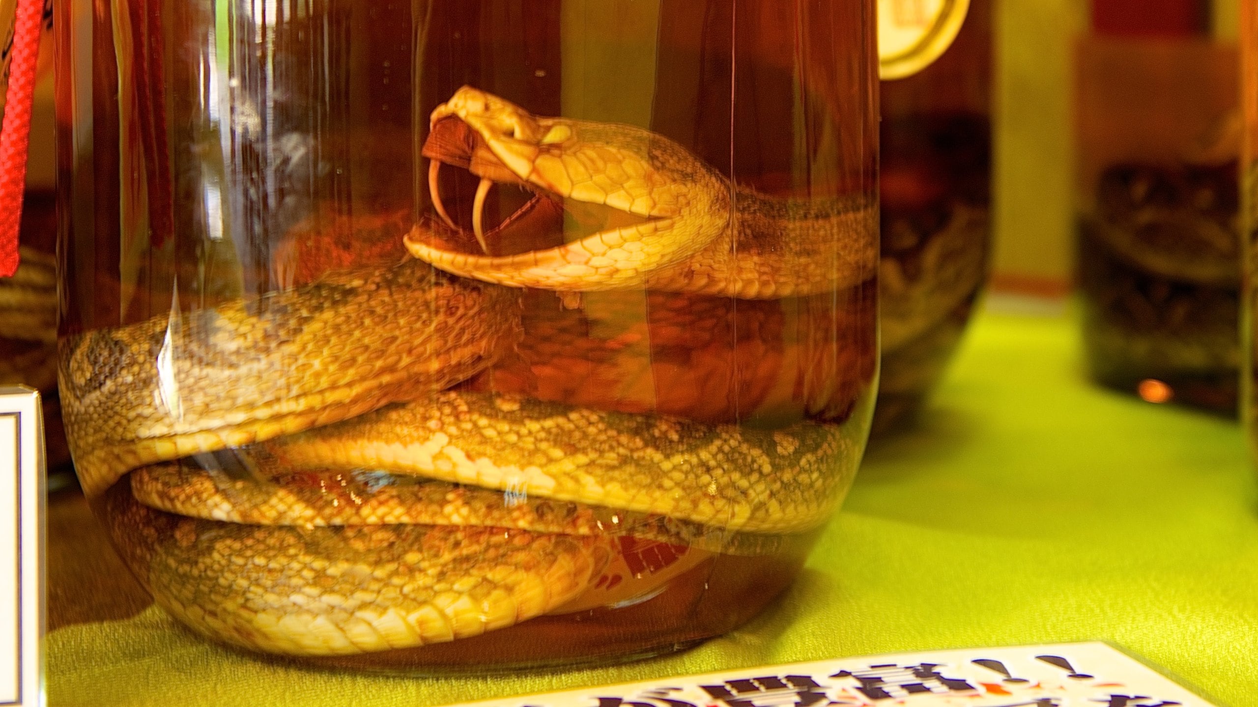 Okinawa World, Nanjo Vacation Rentals house rentals & more Vrbo