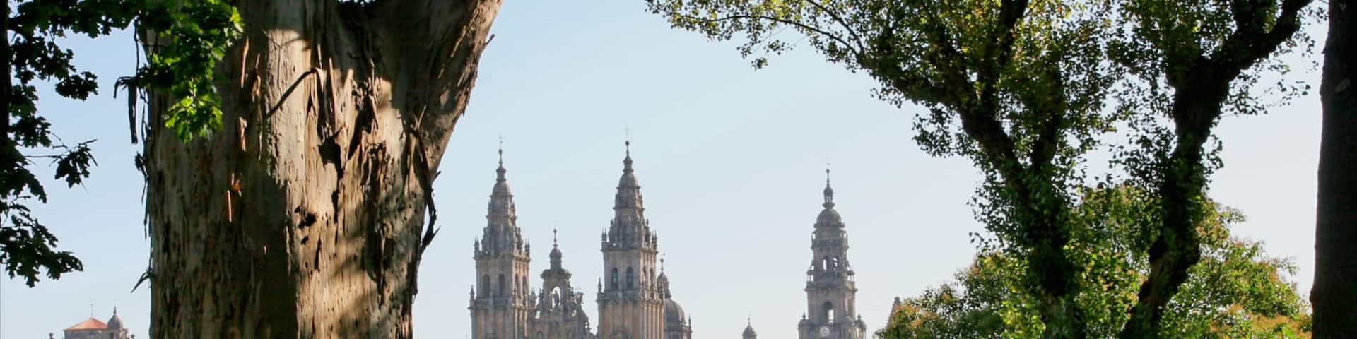 Santiago de Compostela featuring a church or cathedral, heritage architecture and a garden