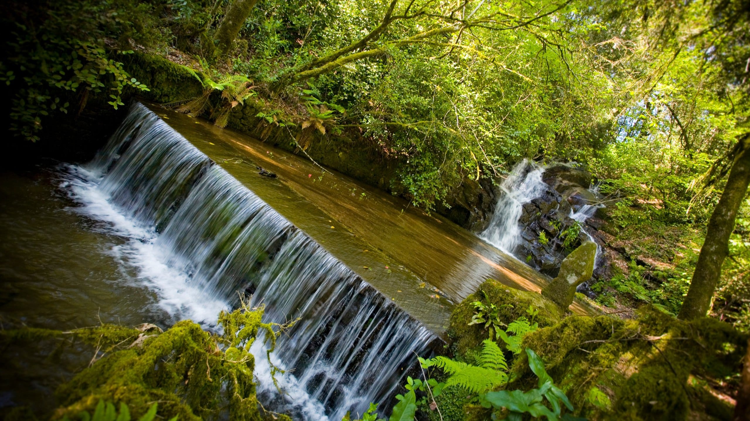 Santiago de Compostela mostrando bosques y una catarata