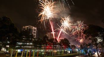 Parramatta showing a city and night scenes