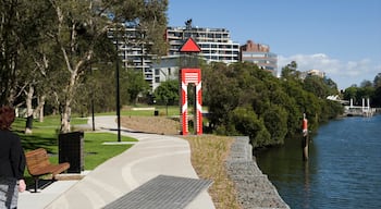 Parramatta mostrando vistas de una costa y una ciudad