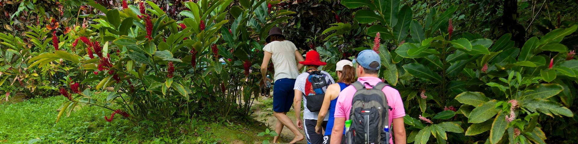 Efate featuring hiking or walking as well as a small group of people