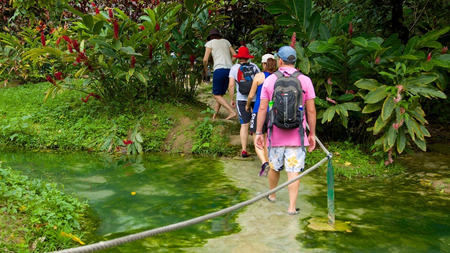 Efate which includes hiking or walking as well as a small group of people
