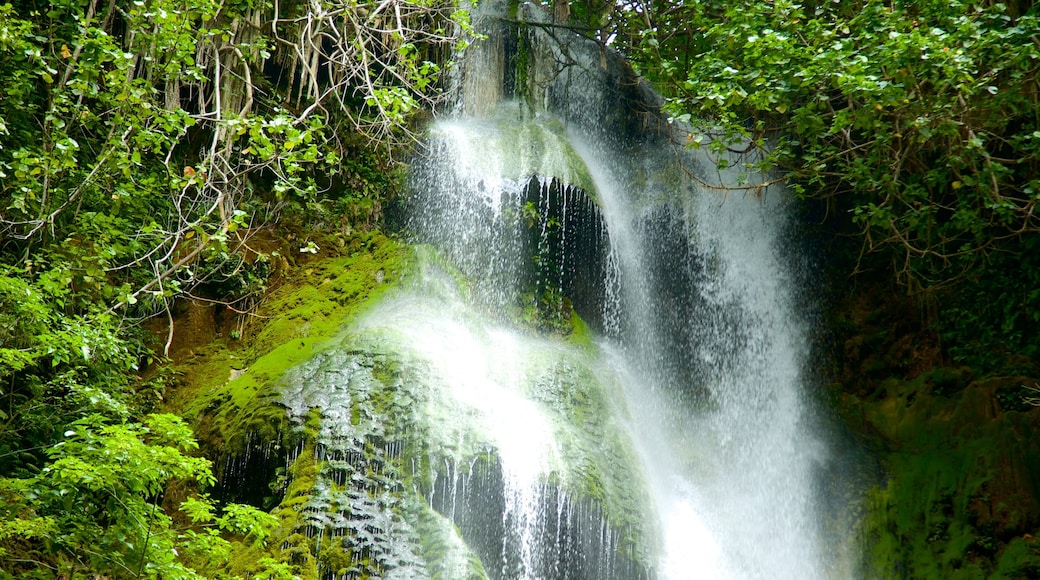 Mele Cascades featuring a waterfall