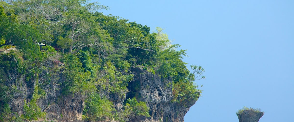 Efate showing general coastal views