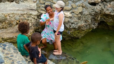 Turtle Bay showing general coastal views as well as a family