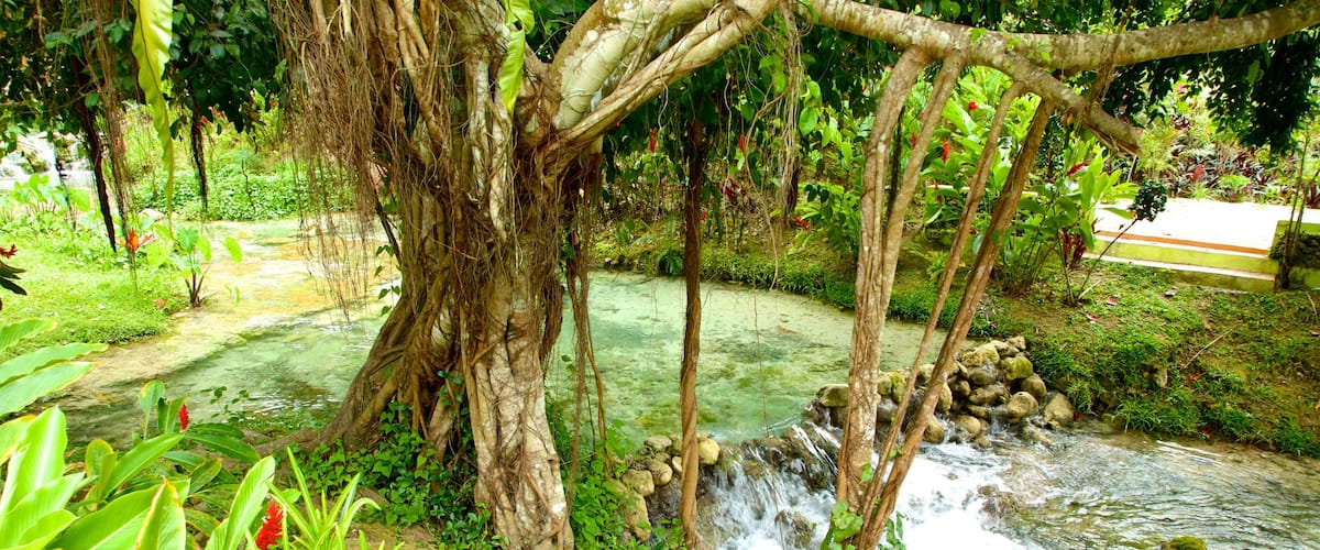 Cascadas de Mele que incluye un río o arroyo