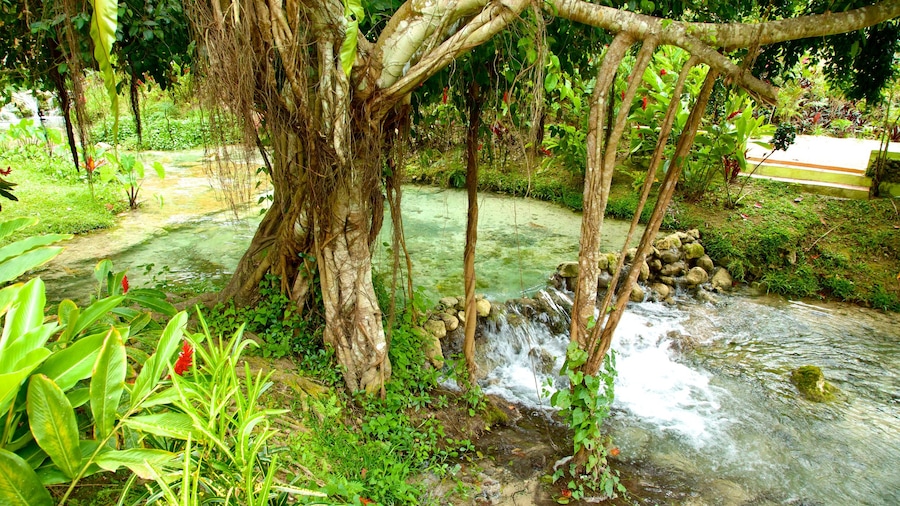 Mele Cascades bevat een rivier of beek