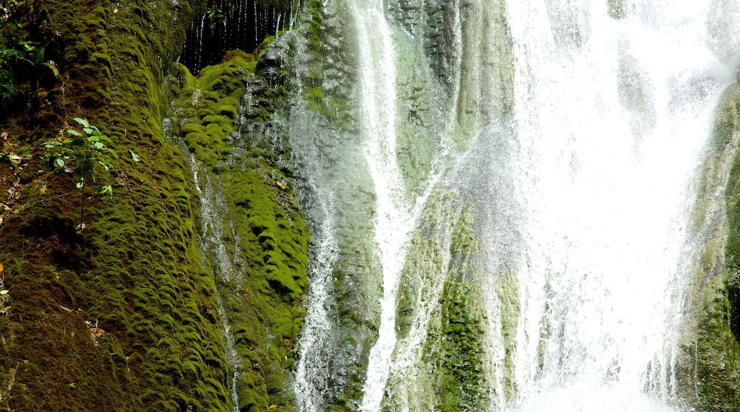 Mele Cascades which includes a cascade