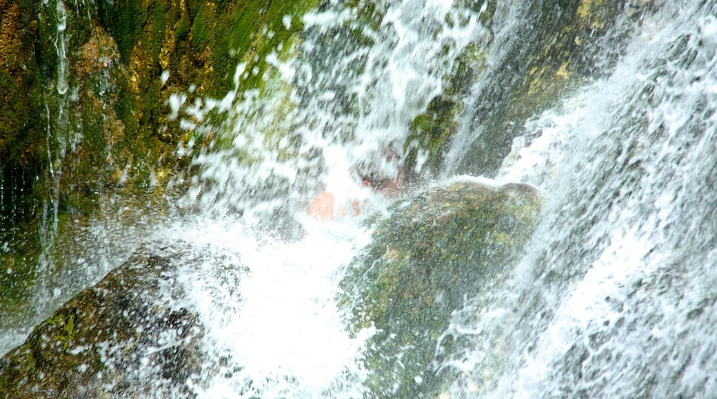 Mele Cascades featuring a waterfall