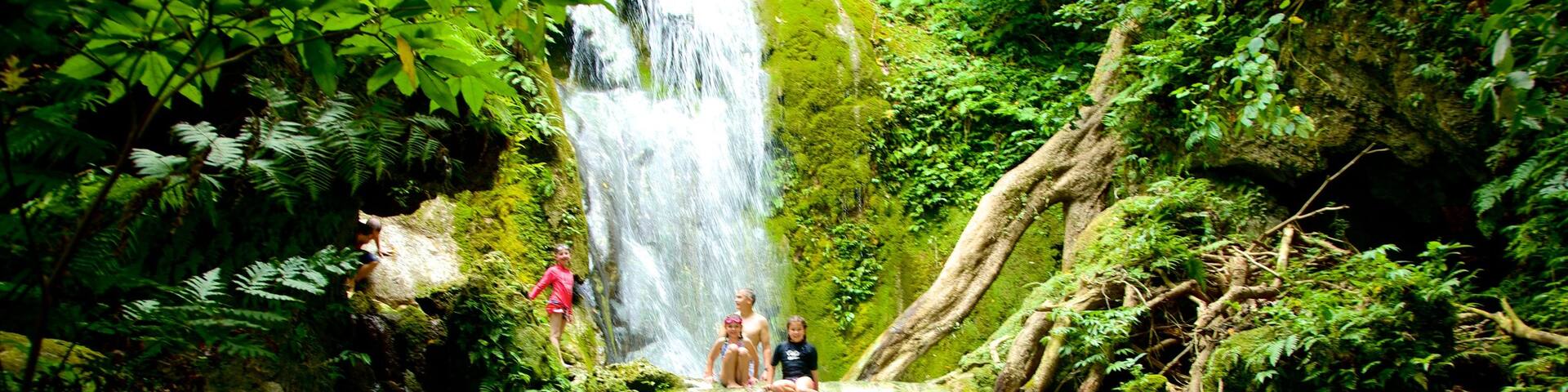 Cascades de Mele qui includes chute d\'eau et forĂȘt vierge aussi bien que enfants