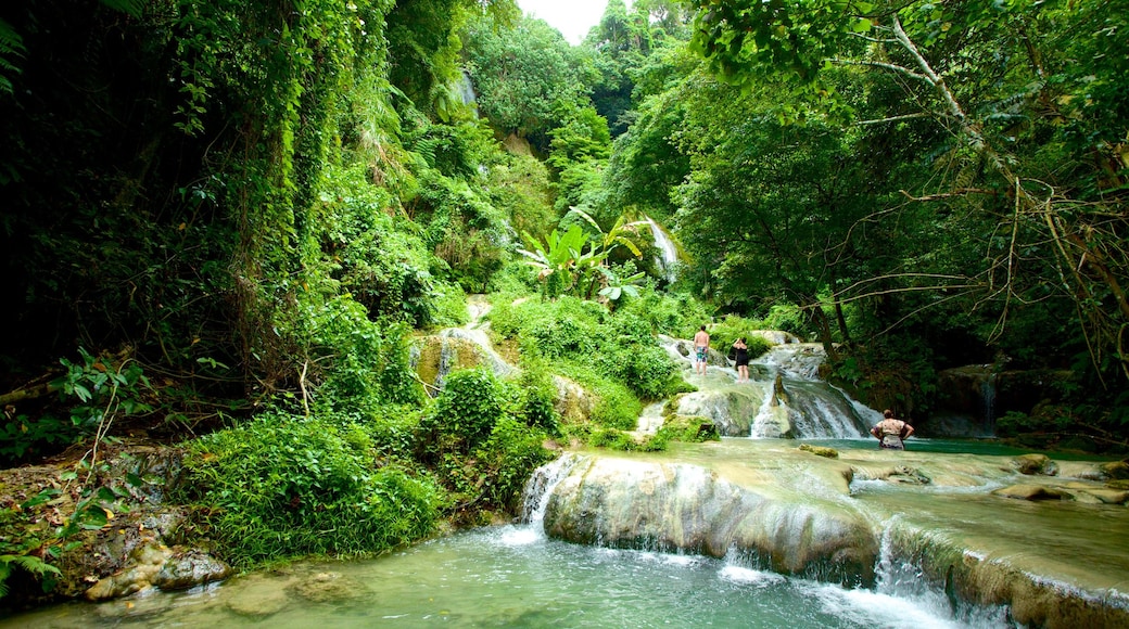 Cachoeiras de Mele que inclui uma cachoeira e floresta tropical