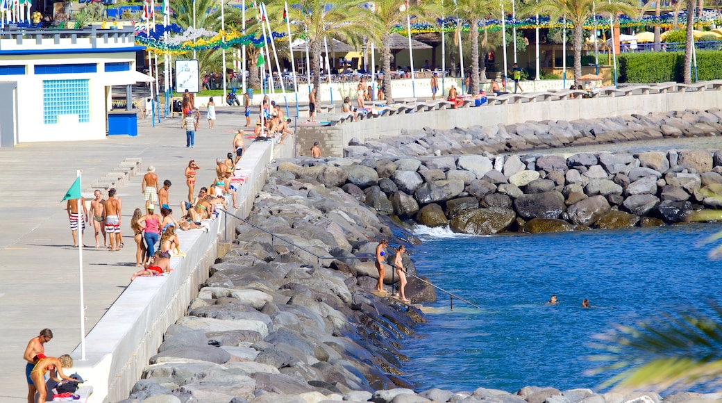 Madeira ofreciendo una bahía o un puerto y natación y también un gran grupo de personas