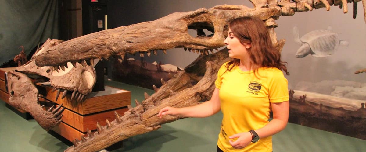 Canadian Fossil Discovery Centre เนื้อเรื่องที่ การตกแต่งภายใน ตลอดจน ผู้หญิง