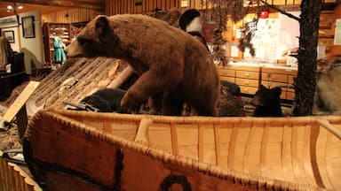 Heritage North Museum featuring interior views