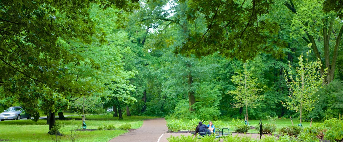 Parque Branch Brook mostrando un parque
