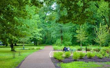 Branch Brook Park In Forest Hill Expedia Co In Branch Brook Park In Forest Hill Expedia Co In