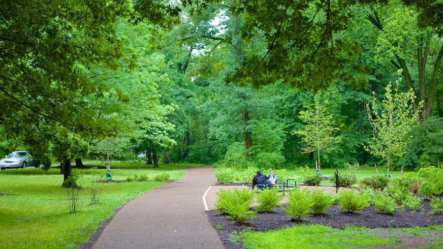 Branch Brook Park which includes a park