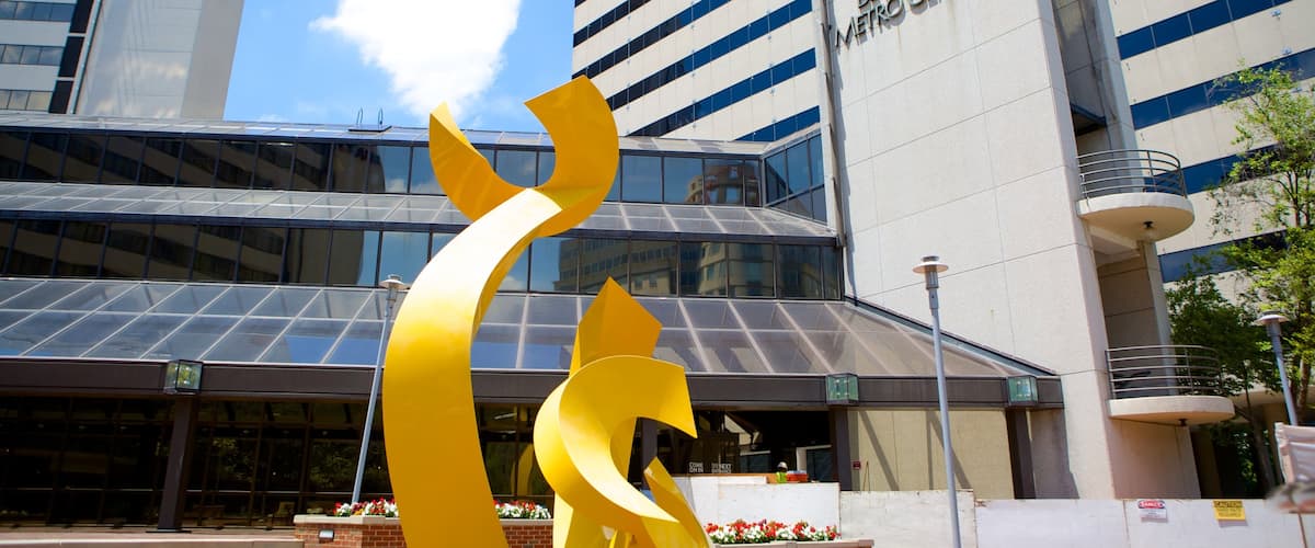 Bethesda showing a city and outdoor art