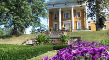 Madison showing a garden, a house and flowers