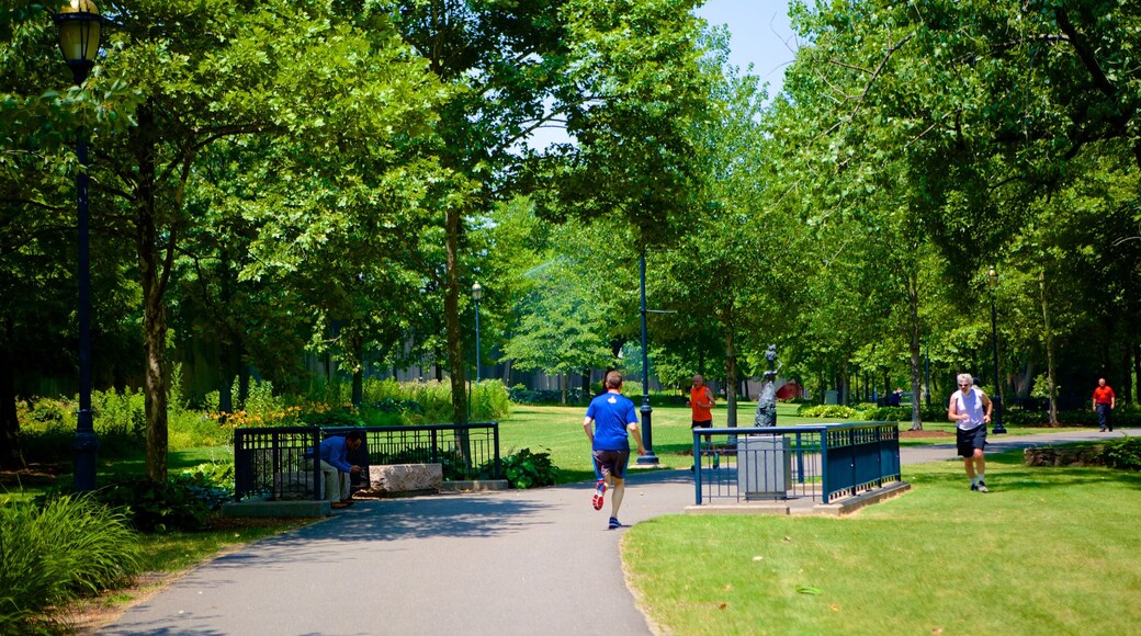 Riverside Park montrant jardin