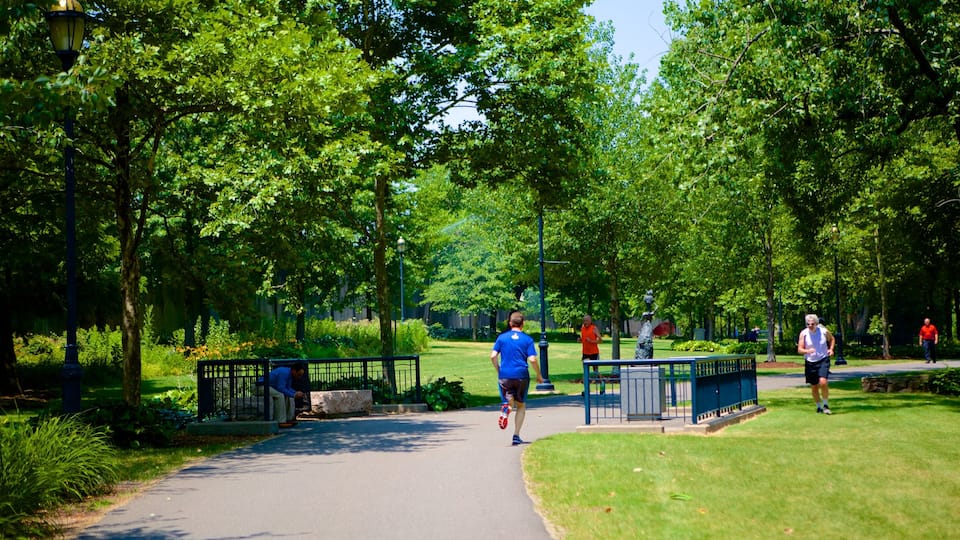 Riverside Park montrant jardin