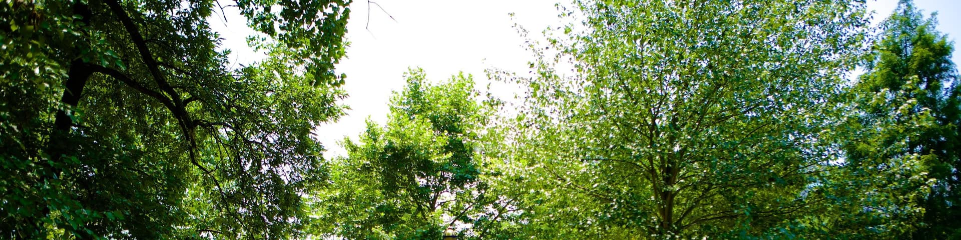 Riverside Park showing a park