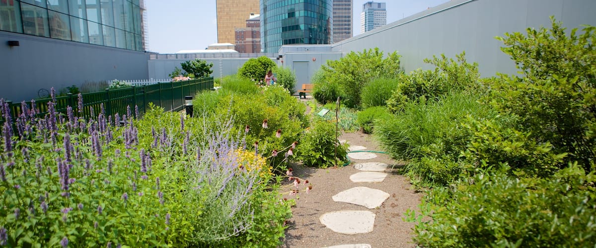 Connecticut Science Center featuring a garden