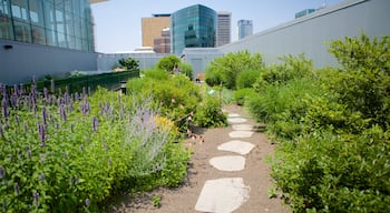 Connecticut Science Center inclusief een tuin