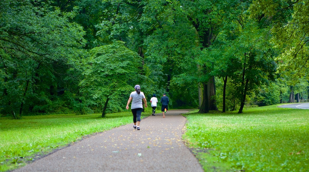 Branch Brook Park featuring a park and hiking or walking as well as a small group of people