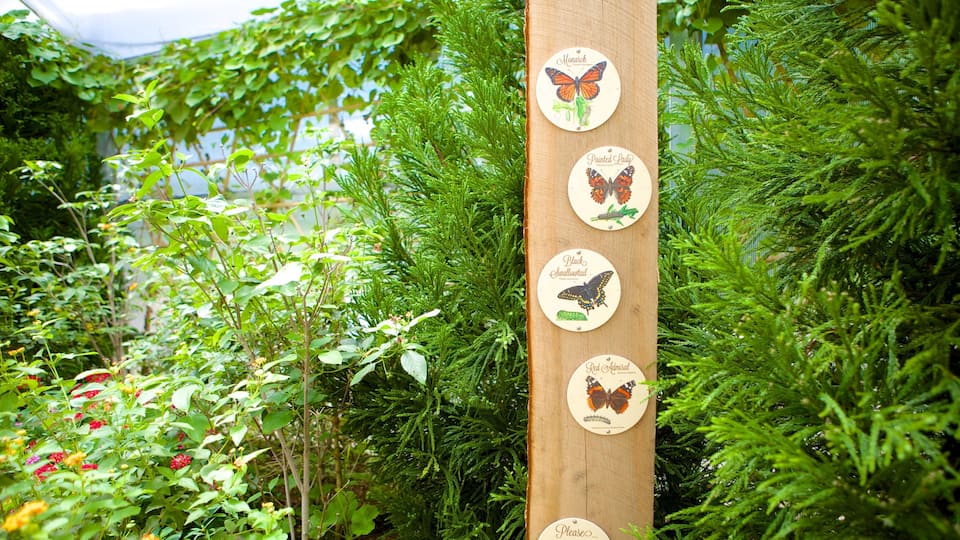 Roger Williams Park Zoo featuring a park and zoo animals