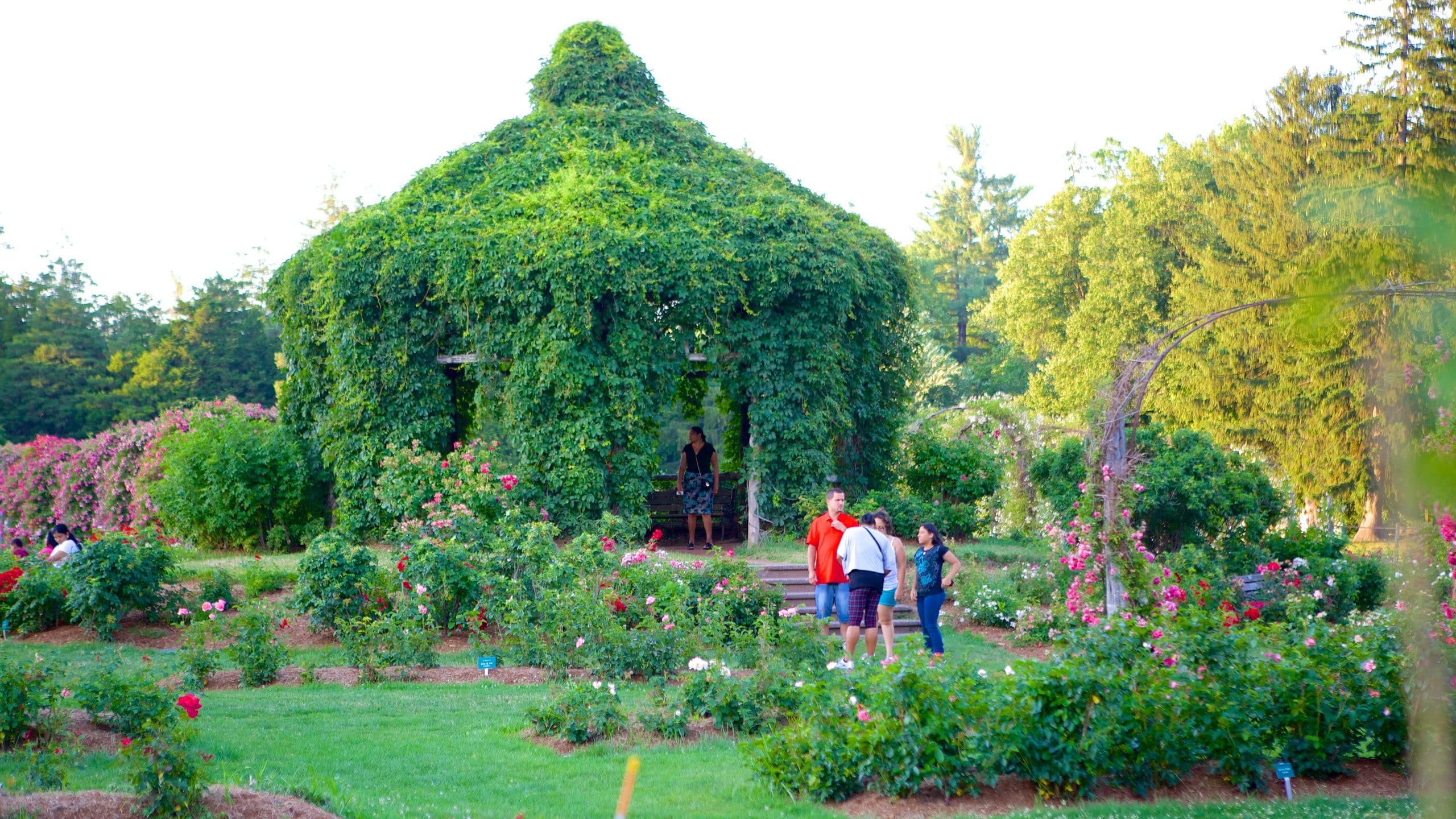 Visita Elizabeth Park en Connecticut - Tours \u0026 Actividades | Expedia.com, image size:2560x1440