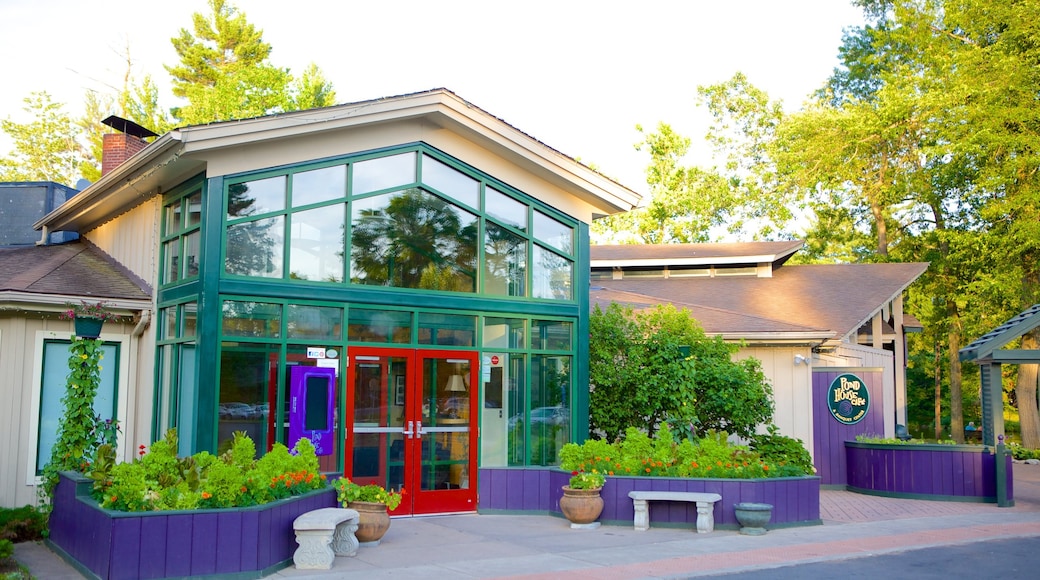 Elizabeth Park showing street scenes, modern architecture and a house