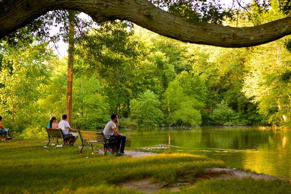 Elizabeth Park showing a pond and a park as well as a small group of people