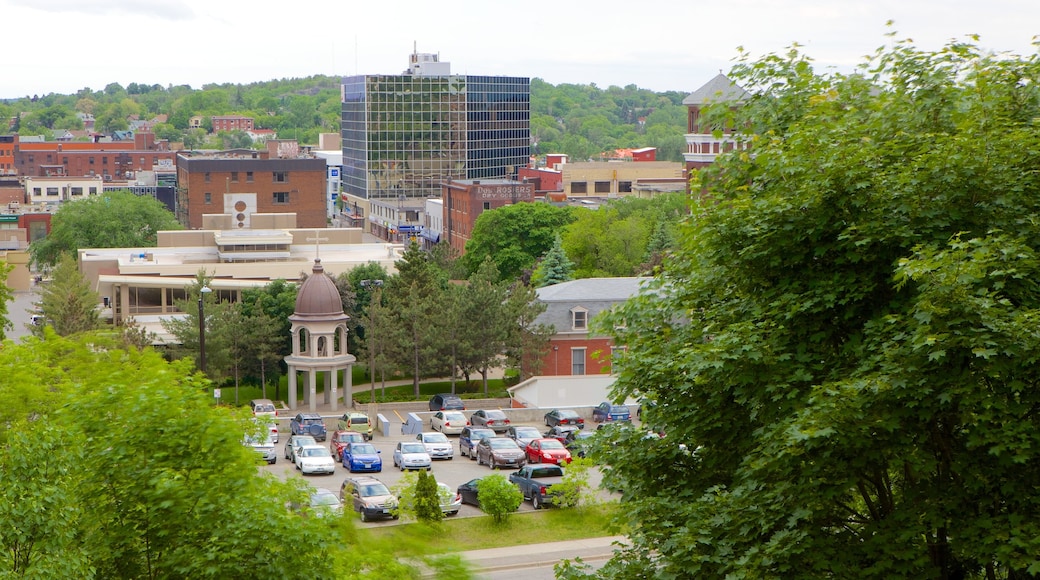 Sudbury mettant en vedette paysages et une ville