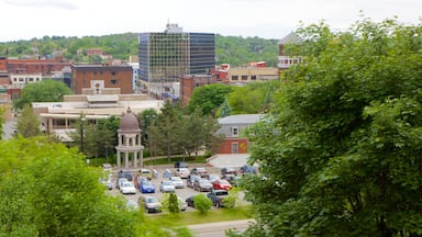 Sudbury which includes landscape views and a city